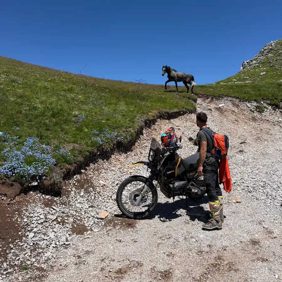 Rider and a wild horse on a mountain ridge
