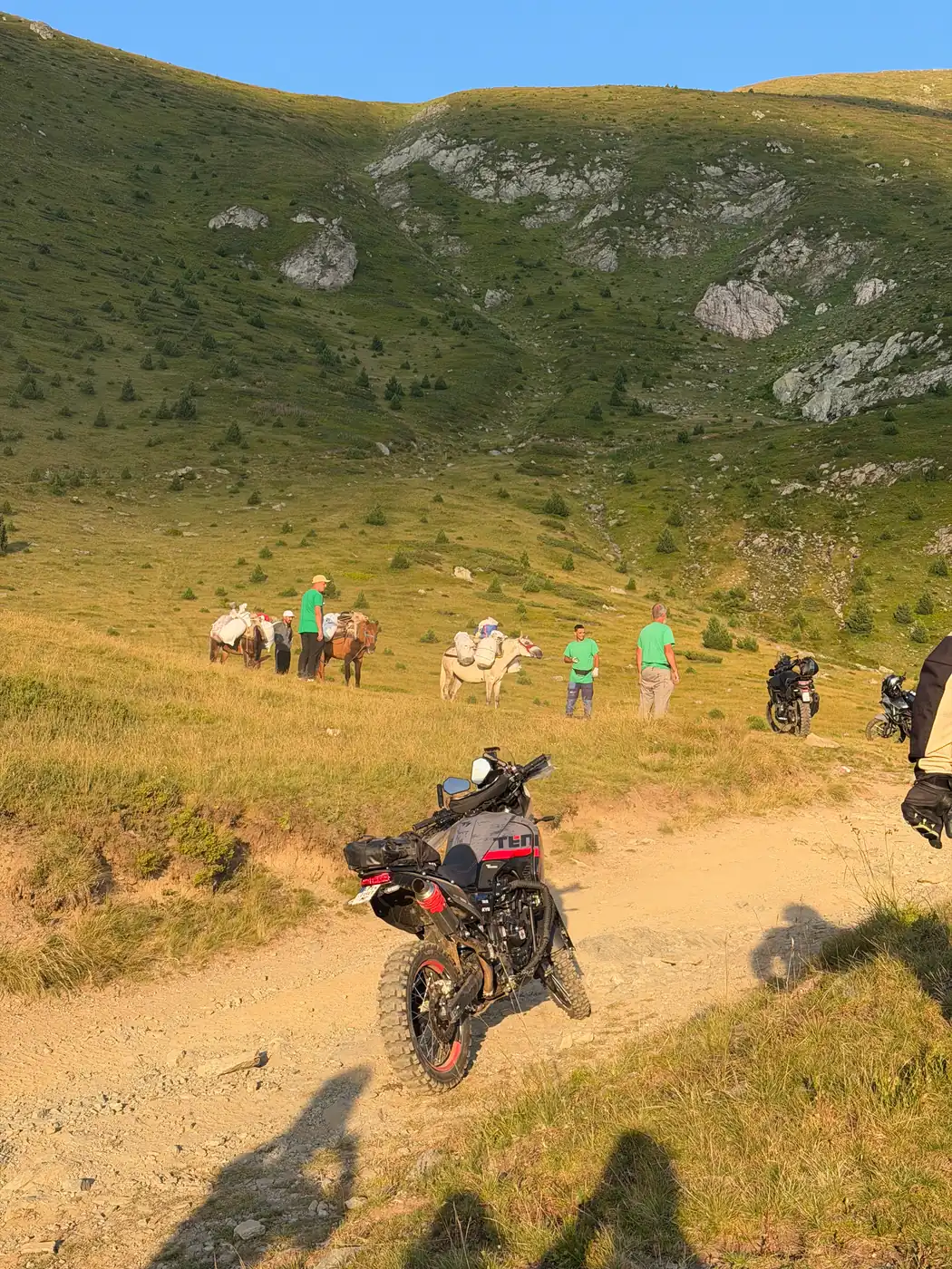 Bike on a dirt track with a shepherd caravan and pack horses ahead in the valley